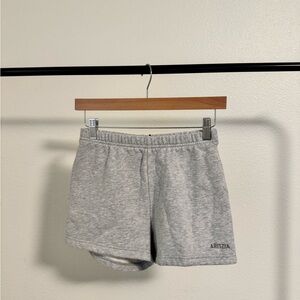 Aritzia Heather Chrome Grey Perfect Fit Sweat Fleece Shorts